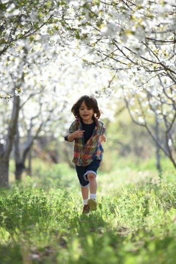 Cover image for Health, Safety, and Nutrition for the Young Child