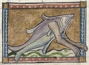 Drawing of fish evolving with arms